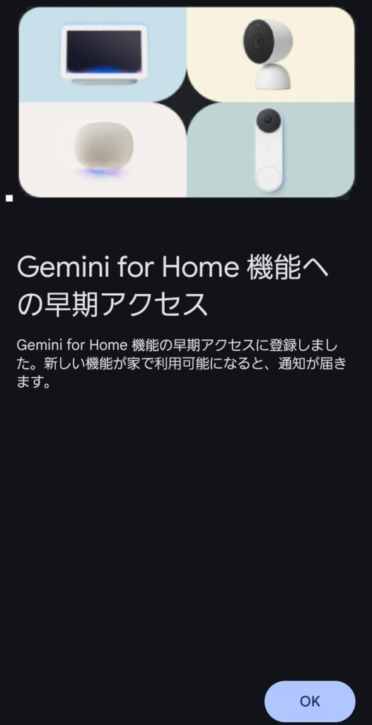 早期アクセスに登録完了!これでGeminiが使えると思いきや……
